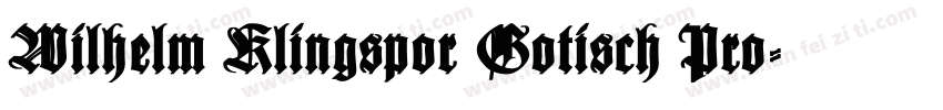 Wilhelm Klingspor Gotisch Pro字体转换
